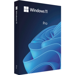 LICENÇA ESD WINDOWS 11 PRO 64 DOWNLOAD